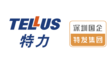 关于开展特力集团珠宝产业管理事业部副总经理选聘的公告