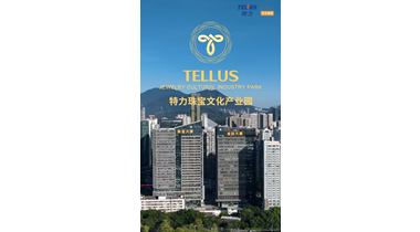 喜报！特力珠宝文化产业园入选“2025年中国式现代化深圳实践创新优秀案例”
