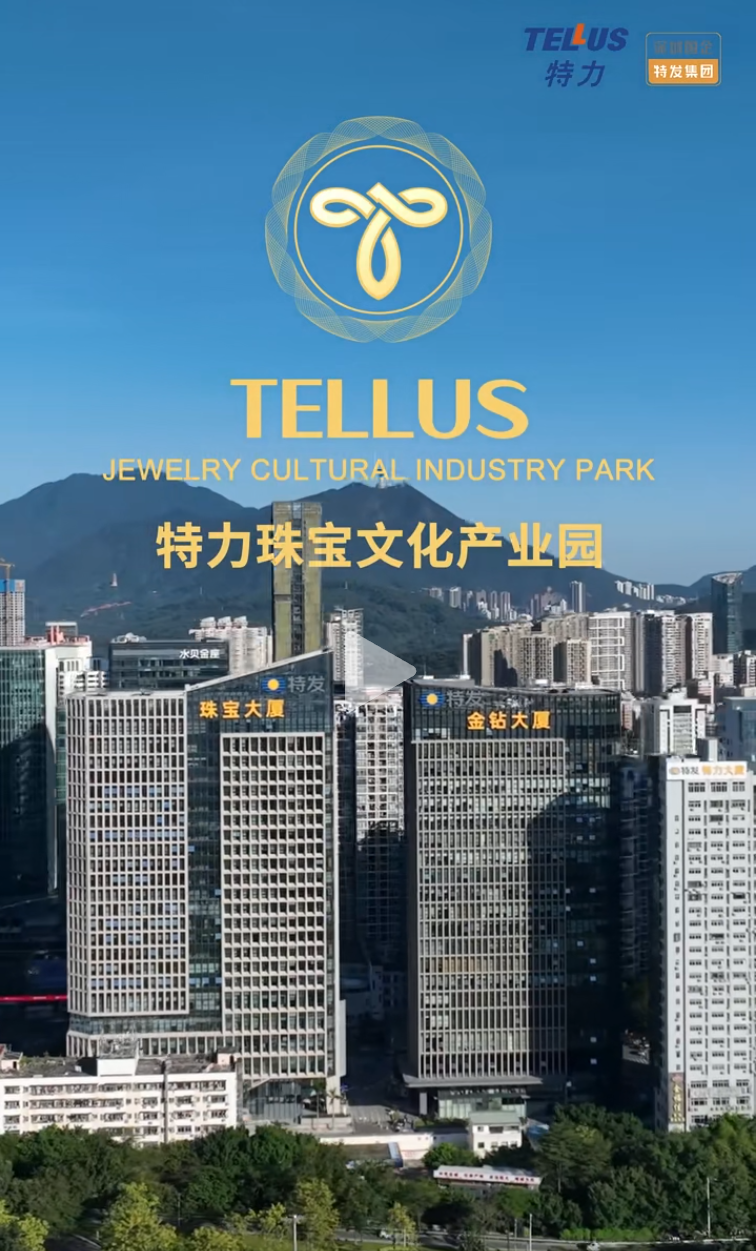 喜报！特力珠宝文化产业园入选“2025年中国式现代化深圳实践创新优秀案例”